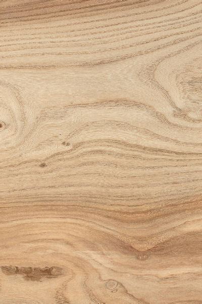 Elm Timber Buy English Hardwood Boards In London