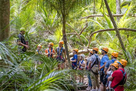Waiheke Island Zipline And Native Forest Adventure Trip In Auckland