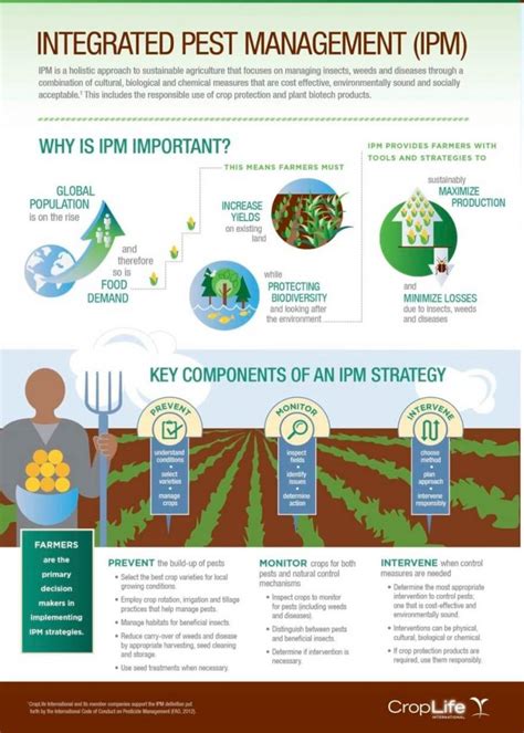 Integrated Pest Management Plan Template