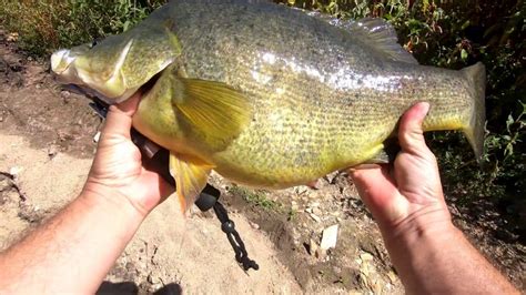 Fishing Googong Dam YouTube