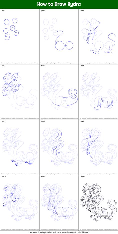 How To Draw Hydra Printable Step By Step Drawing Sheet