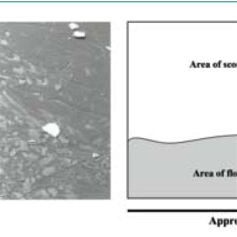 Vertical View Left And Interpretation Right Of Ice Keel Scour Marks