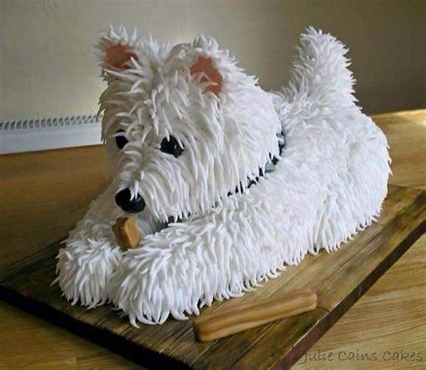 Psbattle Dog Birthday Cake Photoshopbattles