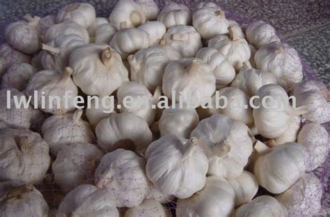 Jining Garlicchina Linfeng Price Supplier 21food