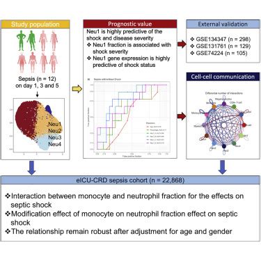 Single Cell Transcriptome Profiling Reveals Heterogeneous Neutrophils