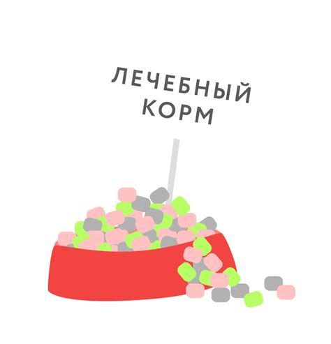 Цистит у кошек: симптомы и лечение