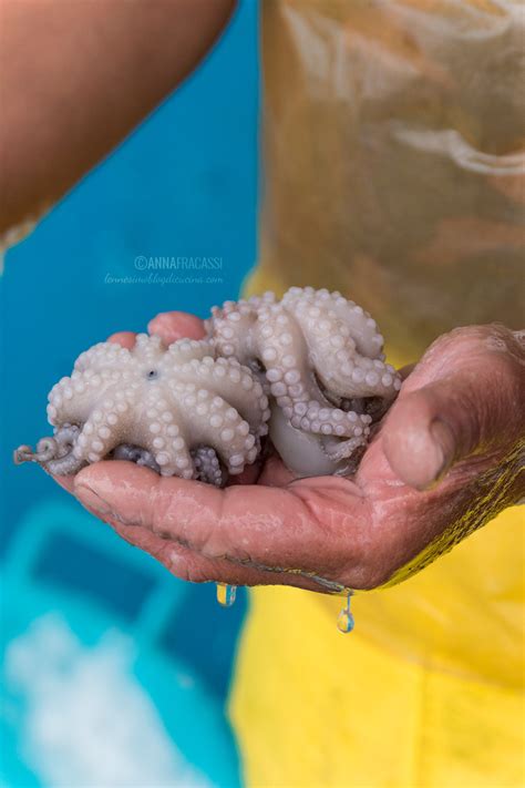 Pesce Di Stagione Quale Scegliere L Ennesimo Blog Di Cucina