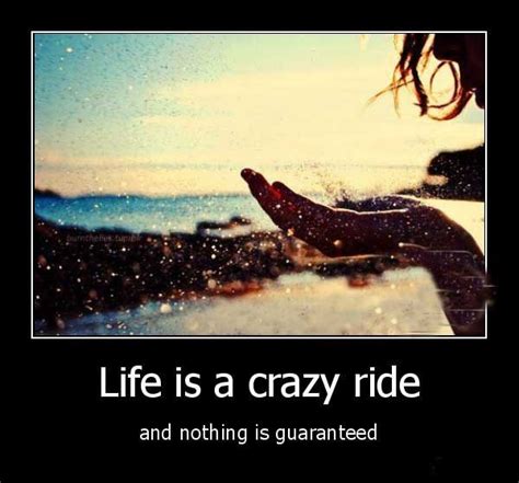 52 Crazy Quotes About Life With Images Good Morning Quote