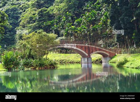 Forest Park Pedestrian Bridge Stock Photo Alamy