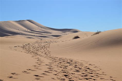 Una Nochevieja En El Desierto De Erg Chebbi Over The White Moon