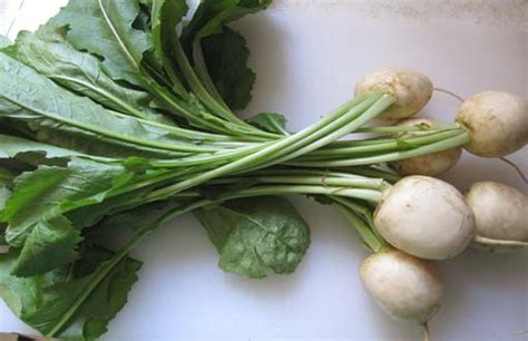 Turnip Greens Benefits Nutrition Facts How To Cook Recipes