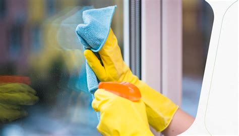 How To Clean Glass Doors I Eightdoors