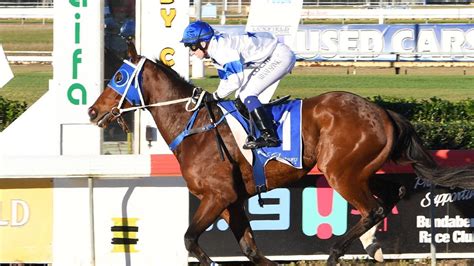 Queensland Marvel Fabs Cowboy Scores 45th Win At Start No111 News