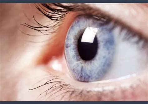 Light Flashes In The Eye Causes Symptoms And Treatment Shelly Lighting