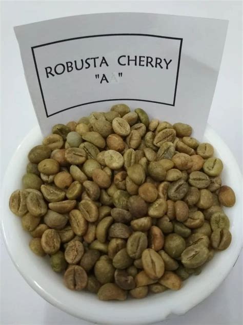 Robusta Cherry A Coffee Beans At Rs Kg Robusta Coffee Beans In