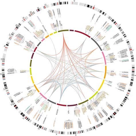 Circos Plot Overview Of Functional Annotation And Eqtl Data For