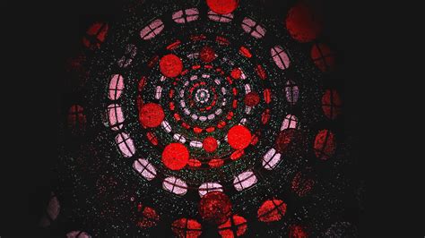 Free Images Flower Pattern Red Darkness Black Circle Illustration Design Symmetry