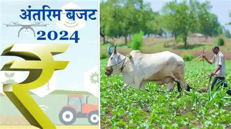 बजट 2024 सरकार ने की कृषि क्षेत्र के बजट में वृद्धि जानिए इन प्रमुख योजनाओं पर कितना खर्च