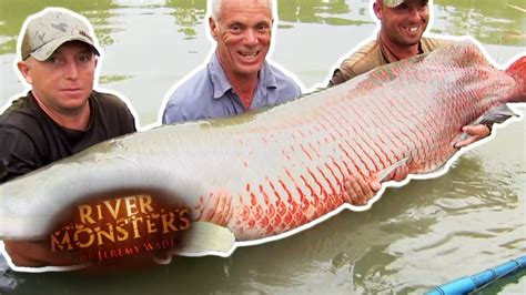 Catching A Huge Red And Gold Arapaima River Monsters Youtube