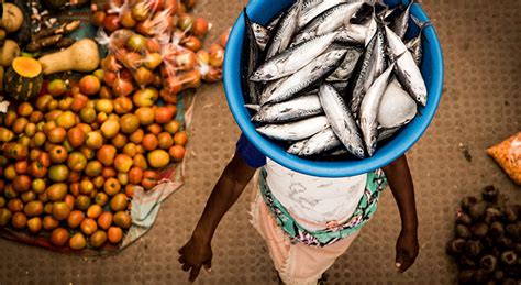 Using Blue Foods To Meet UN Goals Beijer Institute