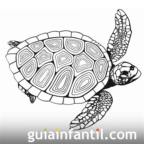 Tortuga Nadando Dibujo Para Imprimir Y Pintar