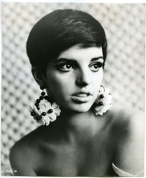 Liza Minnelli Liza Minnelli Hollywood Famous Faces