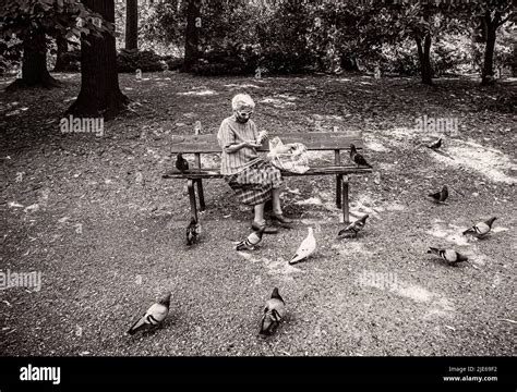 Italy Piedmont Turin Valentino Park Ederly And Pigeon Stock Photo Alamy