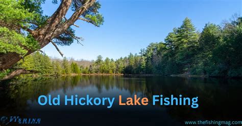Old Hickory Lake Fishing Tennessees Premier Angling Destination 2025