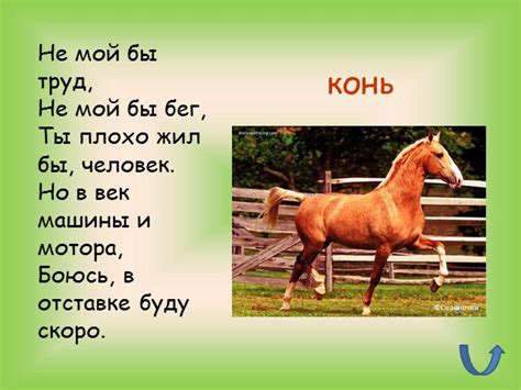 Презентация "Животноводство" (3 класс) по окружающему миру – скачать проект