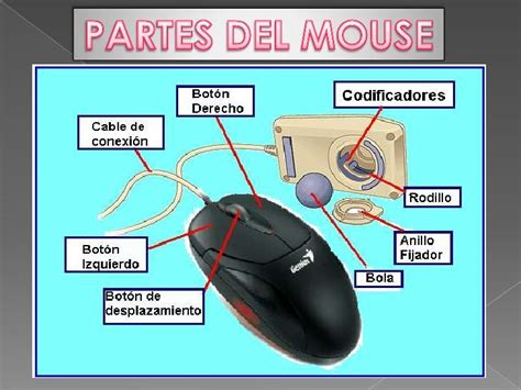 Introduccion A Los Computadores Partes Del Mouse Y Teclado