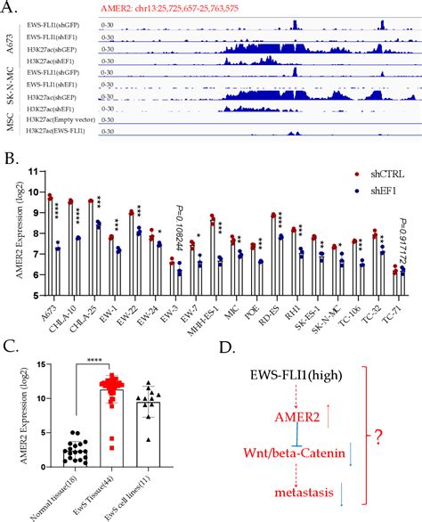 Pdf Targeted Therapy For Ews Fli1 In Ewing Sarcoma Semantic Scholar