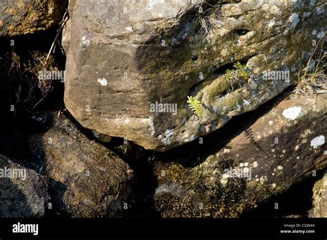 Verwitterte Sandsteinbrocken Fotos Und Bildmaterial In Hoher