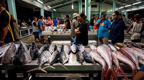 Fishing Industry in the Pacific: 12 Things to Know | Asian Development Bank