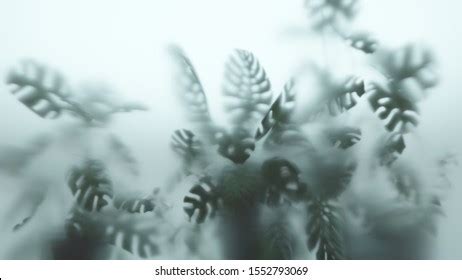 Silhouette Behind Frosted Glass Royalty Free Images Stock Photos