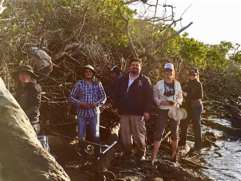 WILDCOAST - Our team is deep into the mangroves of Bahía...