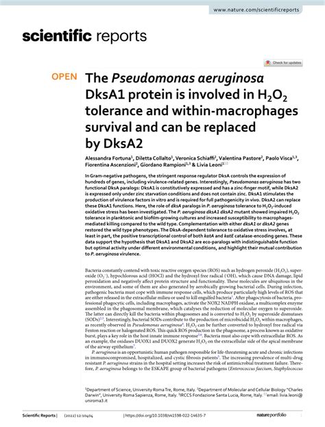 PDF The Pseudomonas Aeruginosa DksA1 Protein Is Involved In H2O2