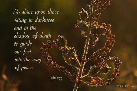 Luke 179 Shined Upon By Robin Clifton Redbubble