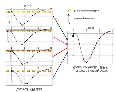 Schematic Representation Of Stimulus Presentation And Fmri Signal