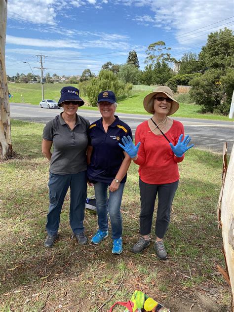 Clean Up Rotary Club Of Highton