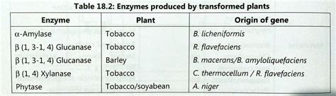 APPLICATIONS OF TRANSGENIC PLANTS - BIOLOGY EASE