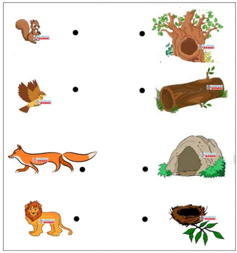 Animal Homes Matching Game Olympiad Tester