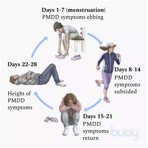 Pmdd • Love And Medicine