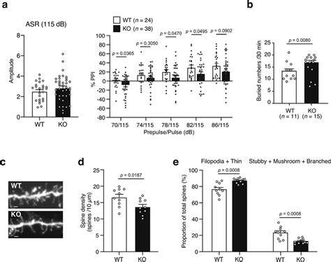 Phenotypes Of Ppara Knockout Ko Mice A Prepulse Inhibition Ppi