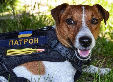tochka.net: мода и красота, здоровье, шоу-бизнес, отношения, гороскопы ...