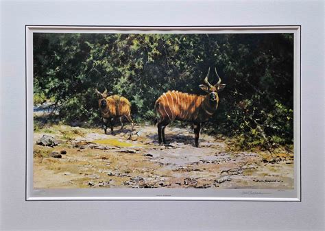 David Shepherd Signed Limited Editions Prints African Afternoon