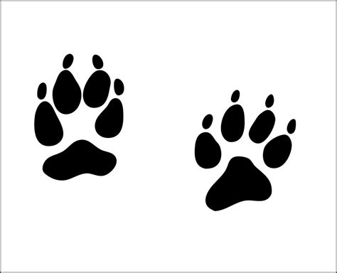 Coyote Tracks Foot Print Wild Animal Paw Identification Mean Dog Animal ...