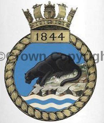 Coat Of Arms Crest Of No Squadron Faa