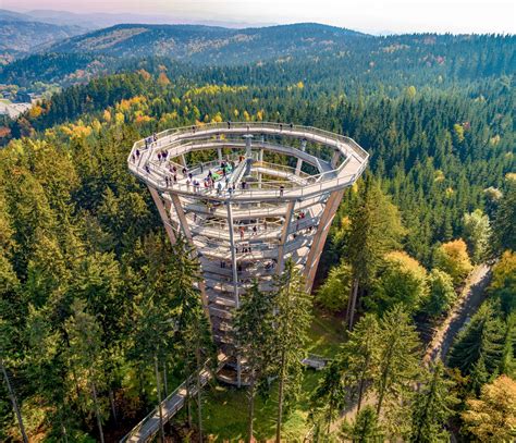 A giant treetop walk spiral staircase is coming to the Laurentians ...