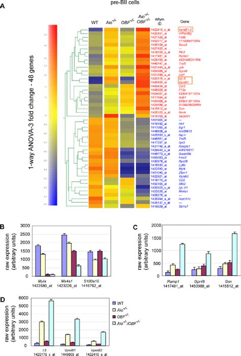 Identification Of Genes Regulated By Aiolos And OBF 1 In Pre BII Cells