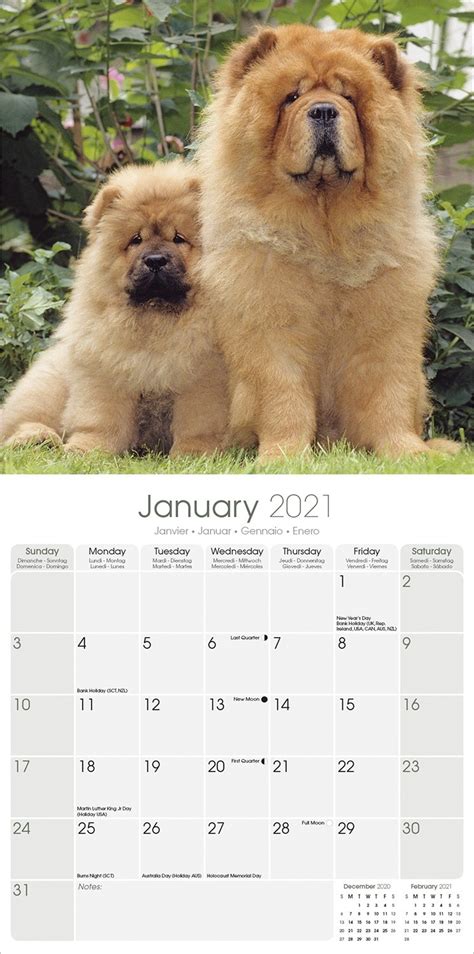 Chow Chow Calendar Dog Breed Calendars Pet Prints Inc